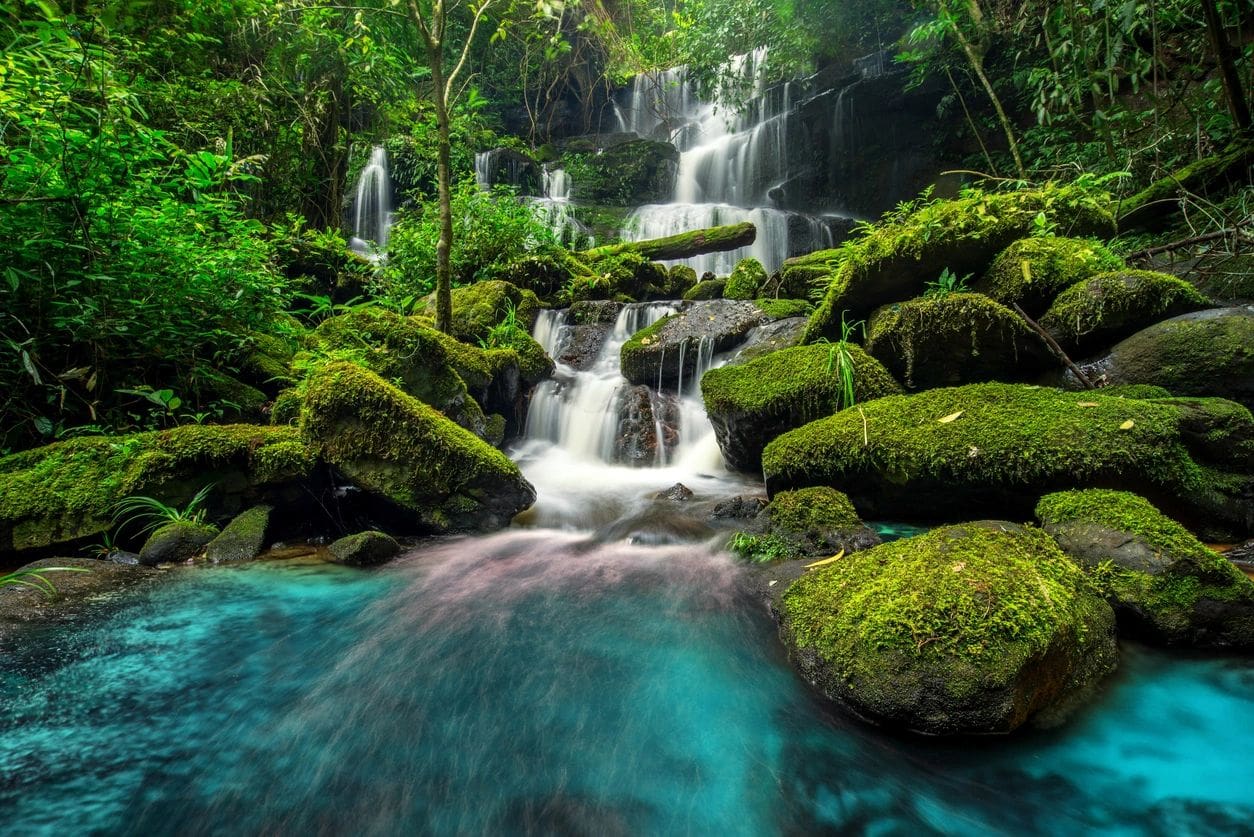 A waterfall with moss and rocks in the water.